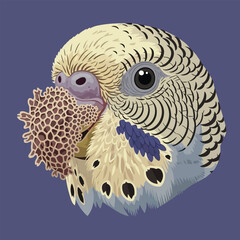 Pet Budgie Head with Cuttlebone Vector Art
