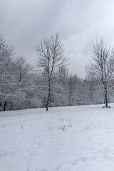 Obraz premium Winter Landscape of South Park in city of Sofia, Bulgaria