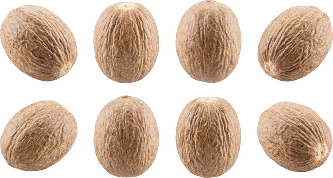 Eight whole brown nutmeg spice seeds are positioned in a grid pattern showcasing their textured oval shapes and natural earthy tones whole nutmeg seasoning transparent background