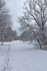 Obraz premium Winter Landscape of South Park in city of Sofia, Bulgaria