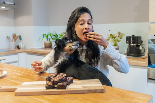 Woman Eating Brownie While Holding Dog At Counter

