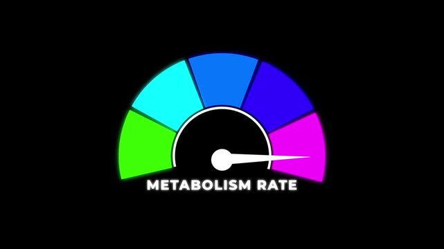 Animated metabolism rate meter decreasing from normal to low level, ideal for concept.