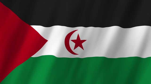 Sahrawi Arab Democratic Republic Flag Waving, Western Sahara 4K Animation