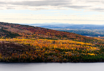 fall colors from above