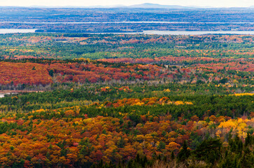 fall colors from above