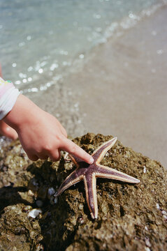 Spotting a Sea Star