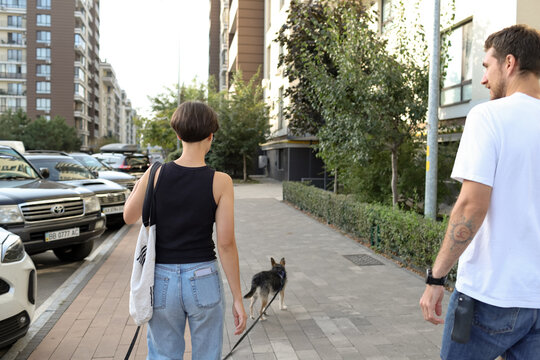 a man and a woman walk with a dog on the street