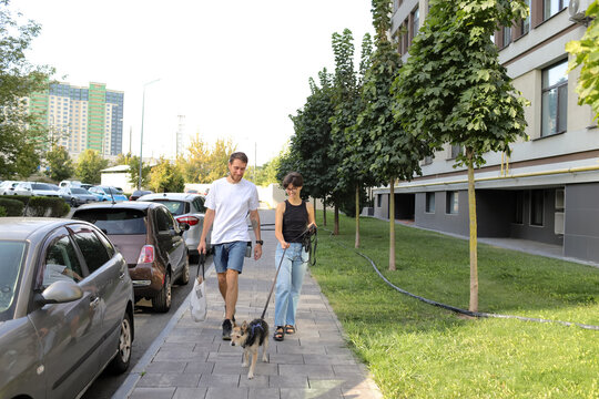 a man and a woman walk with a dog on the street