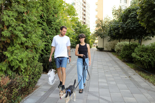 a man and a woman walk with a dog on the street