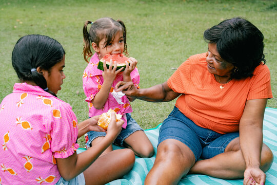 Family Picnic in the Park