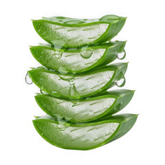 Obraz premium Stack of fresh aloe vera slices with water droplets isolated on transparent background