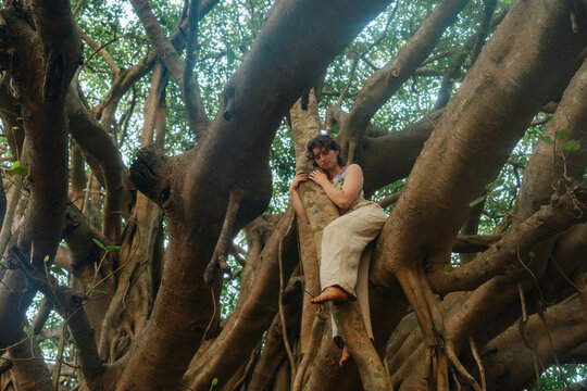 Finding Solitude and Strength in the Branches of Nature