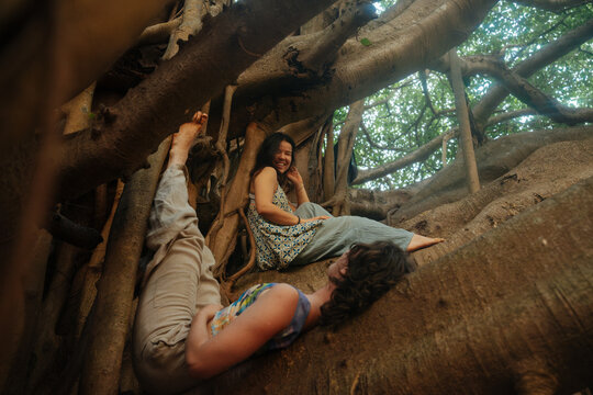 Playful Serenity Within the Embrace of Nature&rsquo;s Roots