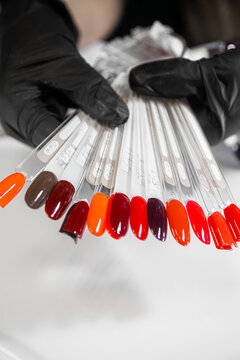 Manicure Palette For Color Selection By Client