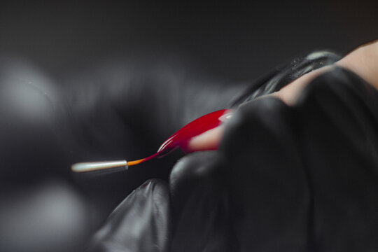 Nail Coloring Skillful Manicure 