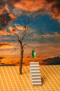 A still life about solving environmental problems