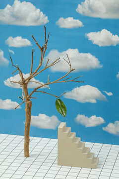 Surreal image with a withered tree and a green leaf