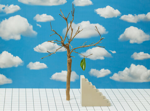 Subject photography about solving environmental problems