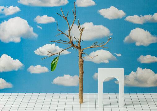A dead tree with a green leaf