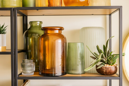 Plant and vases on shelves