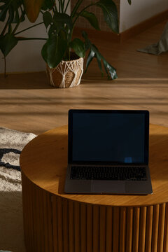 Laptop on cozy living room 
