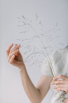Delicate Hand with Dried Botanical