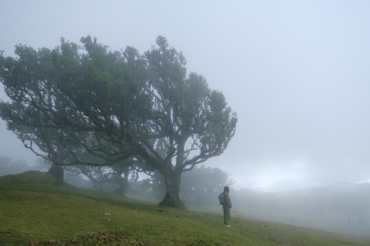 Portrait of girl with gigantic old trees. 