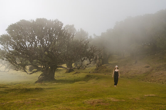 A girl in a dress walking on grass near ancient trees in a forest.