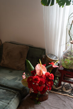 Red Floral Arrangement in Cozy Living Room