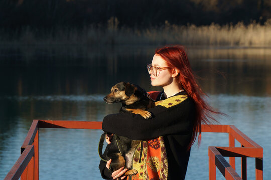 Traveller with mutt dog