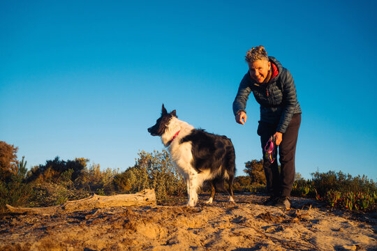 Person training a Border Collie on a sandy path