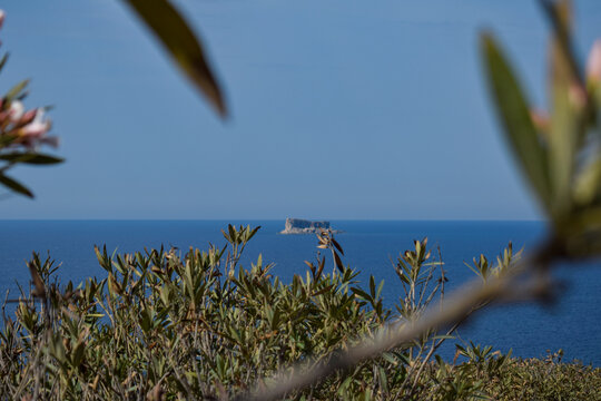 View of Filfla Island from Wied iż-Żurrieq, Malta