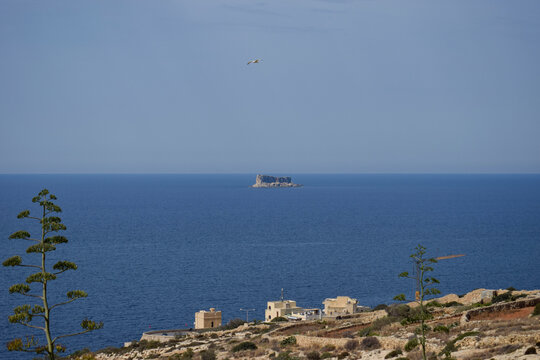 View of Filfla Island from Wied iż-Żurrieq, Malta