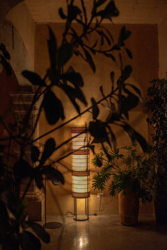 Floor lamp light in dark space with tropical plants