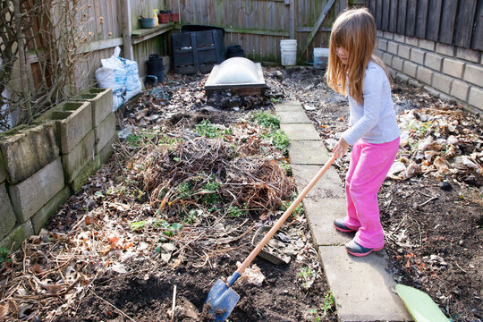 Digging in the remains of a garden