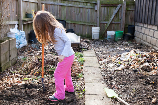 Digging in the remains of a garden