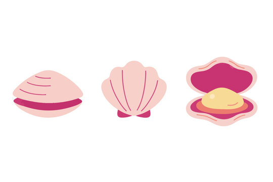 Pink Seashells Collection with Open Clam and Pearl Vector Illustration