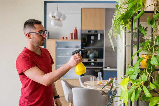 Young adult misting home plants