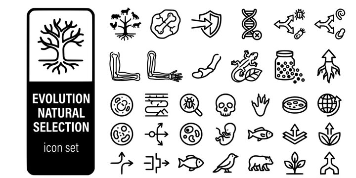 Evolution Natural Selection Bold Line Icons-Darwin Tree Fossil Mutation Speciation Homologous Vestigial Camouflage Genetic Drift-20 Evolution Icon Set Vector - Natural Selection Icons