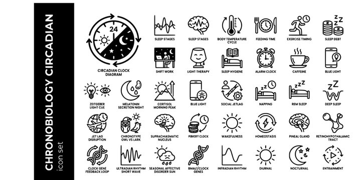 Chronobiology Circadian Science Bold Line Icons-Circadian Clock Zeitgeber Melatonin Cortisol Jet Lag Chronotype Suprachiasmatic-20 Circadian Icon Set Vector - Biological Clock Icons