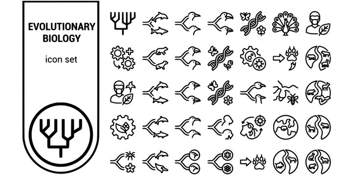 Evolutionary Biology Bold Line Icons-Phylogenetic Cladogram Convergent Divergent Coevolution Sexual Selection Mimicry Symbiosis Parasitism-20 Evolutionary Biology Icon Set Vector - Evolution Icons