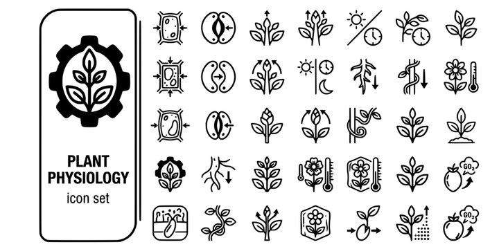 Plant Physiology Bold Line Icons-Turgor Pressure Guard Cell Apical Dominance Photoperiodism Gravitropism Thigmotropism Vernalization Auxin-20 Plant Physiology Icon Set Vector - Botanical Science Icons