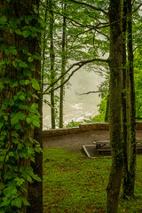 Look Through The Trees Toward A Foggy River Below At Sandstone Falls Overlook In New River Gorge