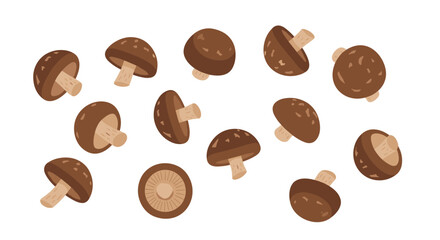 Fototapeta premium A collection of various brown shiitake mushrooms with different orientations are randomly scattered across a clean white surface.