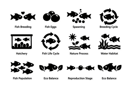 Icons representing fish life cycle and ecosystem processes