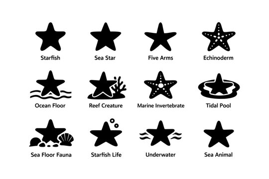 Starfish icons set: marine invertebrate symbols on ocean floor
