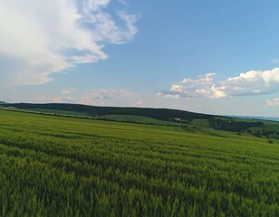 Obraz premium A vibrant shot of a sunlit field, its textured green stretching towards rolling hills and a bright, partly cloudy blue sky