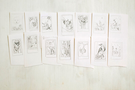 Top view sketches of different birds