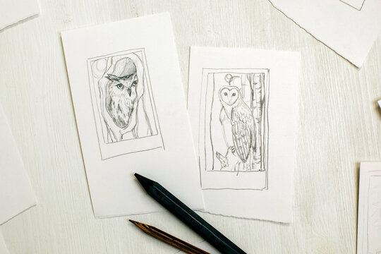 artist's table with owls sketches