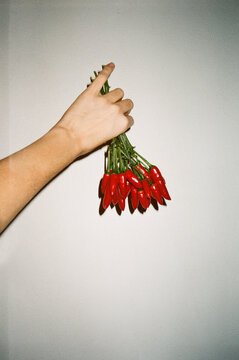 chili pepper